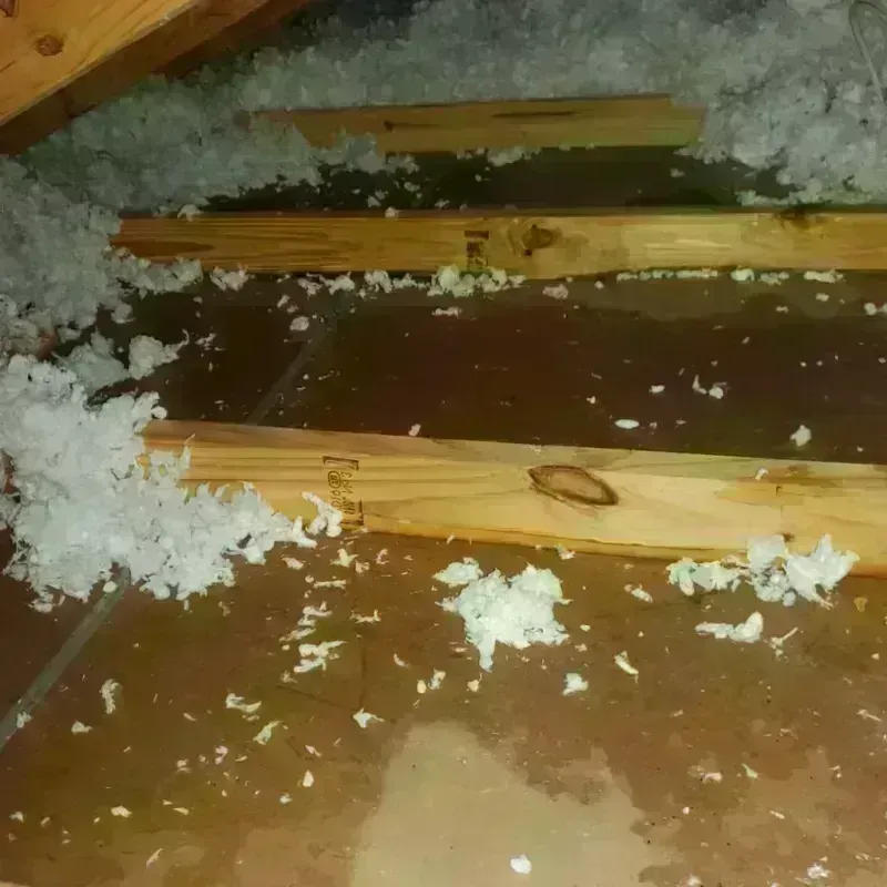 Attic Water Damage in Newton County, AR