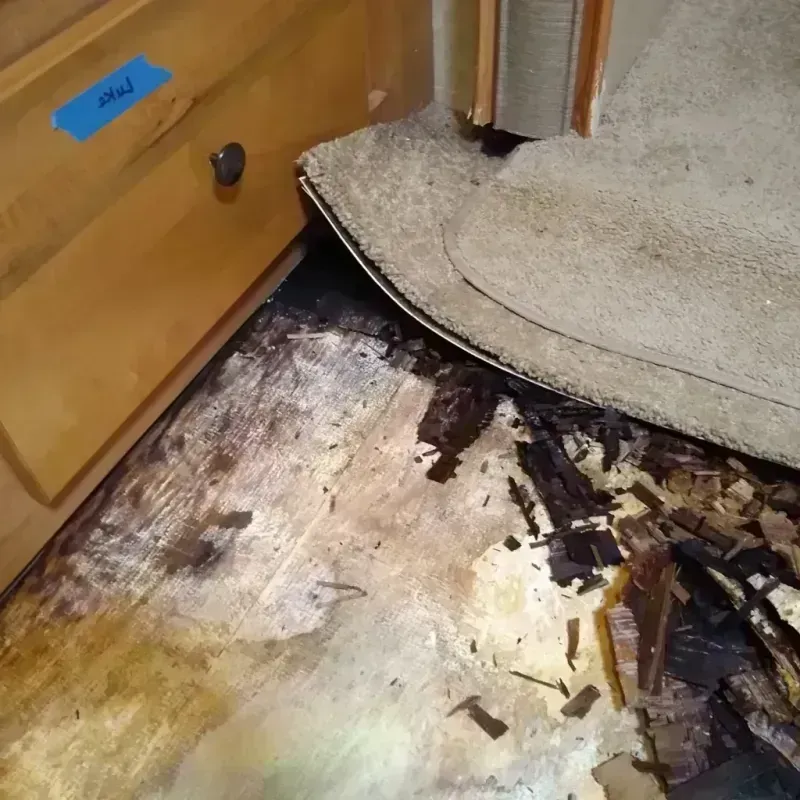 Wood Floor Water Damage in Newton County, AR